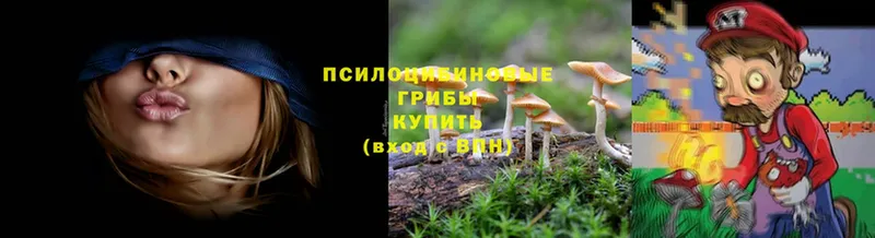 наркошоп  Киселёвск  дарк нет как зайти  Псилоцибиновые грибы Psilocybe  omg tor 